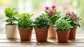 Your Next Gardening Win Starts Here