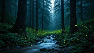 Fireflies Are Putting On Nature's Greatest Light Show