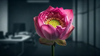 Burnout in India: Normalised Workplace Stress?