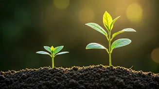 Sudha Murty's Wisdom: Marriage is About Growing Together, Not Just Living Together