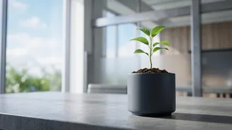 Tax-Saving Mutual Funds (ELSS): Balancing Income Tax Deductions With Superior Portfolio Growth