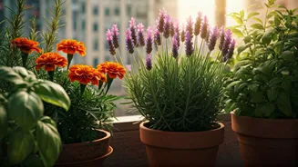 Pest-Free Paradise: 5 Plants to Naturally Beautify Your Urban Garden