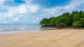 Why Henry's Island Is The Perfect Low-Cost Monsoon Break Near Kolkata