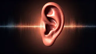 Beyond the Whistle: Tackling India's Pervasive Noise Pollution Crisis