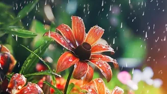 August's Particularly Wet Monsoon Stretch Makes Longer Connection Buffers For Trips More Important