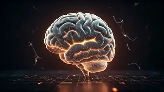 Related Stories banner