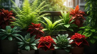 Want A Lush Balcony This Monsoon? Start Here