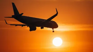 Modi government says airport operators can invest in airlines