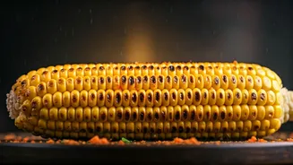 Why Everyone Stops For Hot Bhutta
