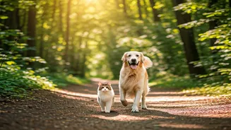 Green Holidays Feel Better When Pets Come Along