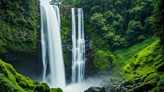 Nature Photography Clubs Map Excursions To Western Ghats Waterfalls