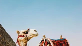 Culture-Focused Trips Are Becoming More Popular Than Checklist Travel