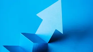 Direct index funds yield larger corpus growth over decades by removing ongoing agent commissions