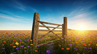 Related Stories banner