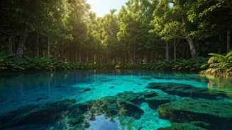 Related Stories banner