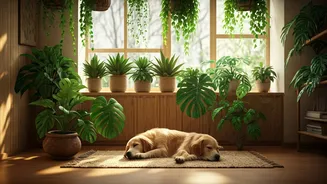 Pet-Safe Biophilic Design Is A Real Style Category