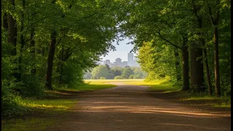 The Mental Benefit of a Walk May Depend on Noise and Crowding