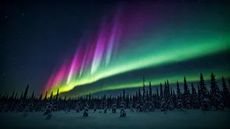 Auroras Explained: Decoding Solar Storms and Their Dazzling Light Shows