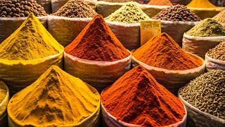 Exploring Flavor: A Culinary Journey Through Indian Cuisine