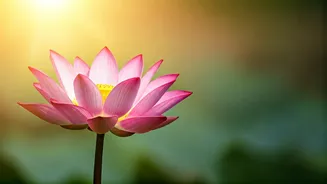 Navigating Breakups: Self-Love & Healing