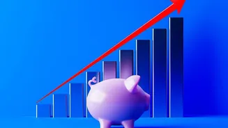 Smart Paycheck Allocation: Using 50/30/20 Rule For Rent, Daily UPI, And Investments