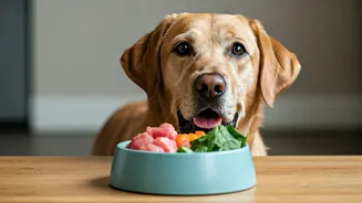 The Raw Food Debate: The Best Meals For Indian Canines