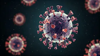 Hantavirus Outbreak on Atlantic Cruise: Understanding the Deadly Viral Threat