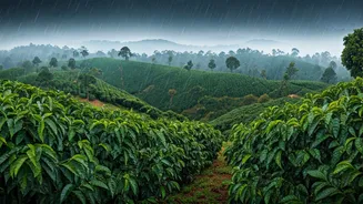 The Hill Escapes Trending This Rainy Season