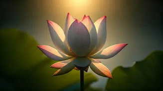 Chaitra Navratri 2026: Uplifting Wishes & Messages for a Blessed New Year