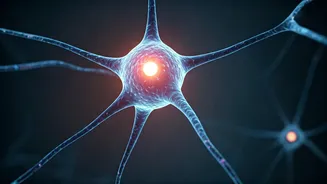 Unlock Your Productivity: How Daily Brain Shifts Impact Your Workday