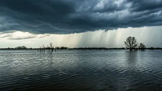 Unpacking Extreme Weather: India's Monsoon and Climate Change