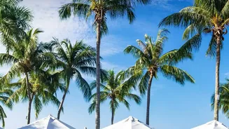 Mid-Range Properties Gain Attention as Rainy-Season Travel Bookings Climb