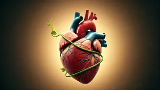 Unlock Longevity: The Power of 150 Minutes Weekly Exercise for a Healthier, Longer Life