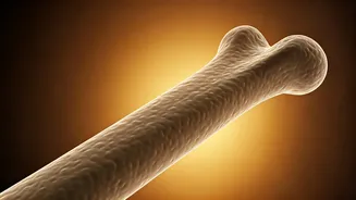 Sun's Out, Vitamin D's Low? Unraveling Why Indians Miss Out & How to Fix It