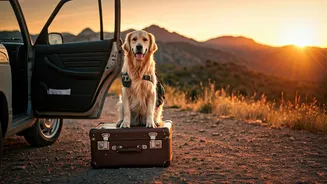 Voyaging with Your Furry Friends: A Comprehensive Guide to Pet Travel