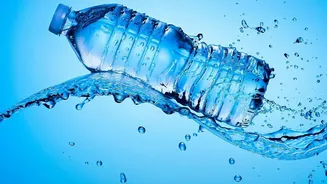 Electrolyte Drinks vs Plain Water: Staying Hydrated And Energised In Heavy Humidity