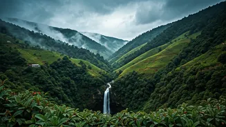 Discover Meghalaya's Monsoon Magic Beyond The Clouds