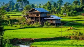 India's Three Growing Seasons Keeps Kharif Timing Tied to the Current Update
