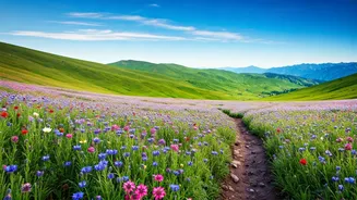Trek Through Breathtaking Alpine Meadows In Uttarakhand This Season