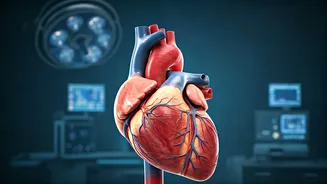 Top Exercises for a Healthy Heart: Cardio Secrets Revealed