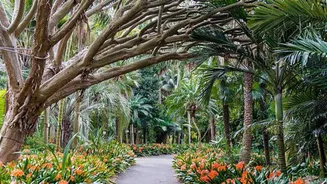 Italy on your mind? Don't miss these botanical gardens