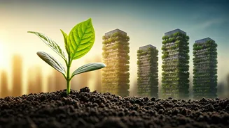 Climate Audit Certifications Lead Grads Straight To Premium Jobs