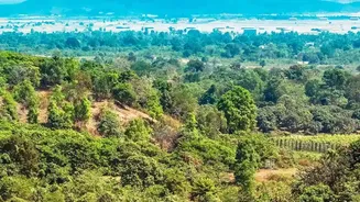 How To Experience Reopened Forest Zones In Satpura Safaris On Budget