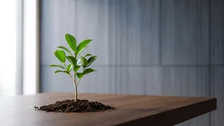 How To Secure Annual Income Tax Deductions While Building Sustainable Long-Term Wealth In ELSS