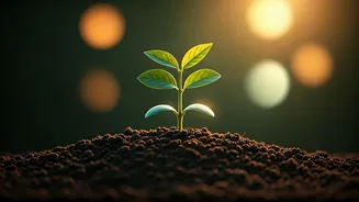 Priyanka Chopra Jonas's 5 Parenting Pillars: Nurturing Confidence, Culture & Kindness