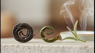 Tea Still Counts When Tracking How Much Caffeine A Day Contains