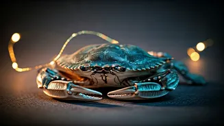 Cancer Horoscope February 24, 2026: Harmonize Your World Through Collaboration and Calm