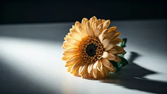 The Downside of Constant Positivity: Understanding Toxic Positivity's Impact