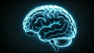 Boost Your Brainpower: Creatine's Unexpected Benefits