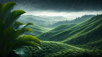 Cherrapunji And Mawsynram Are Fully Rain-Ready